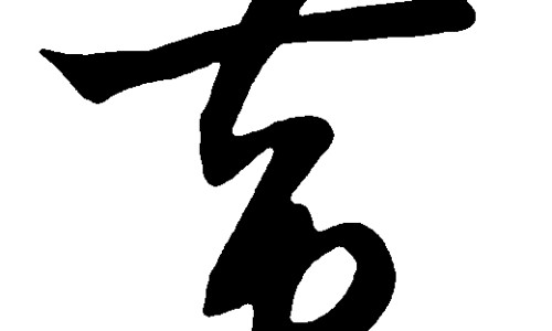 酸枣的功效与作用禁忌是什么-酸枣枣的功效与作用专区_酸枣用途和功效专区_酸枣胡的药用功效网