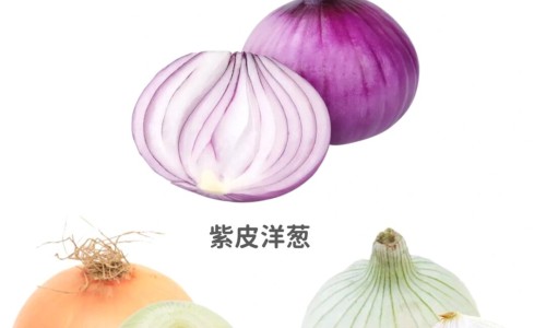 酸枣枣的功效与作用专区_酸枣用途和功效专区_酸枣胡的药用功效网